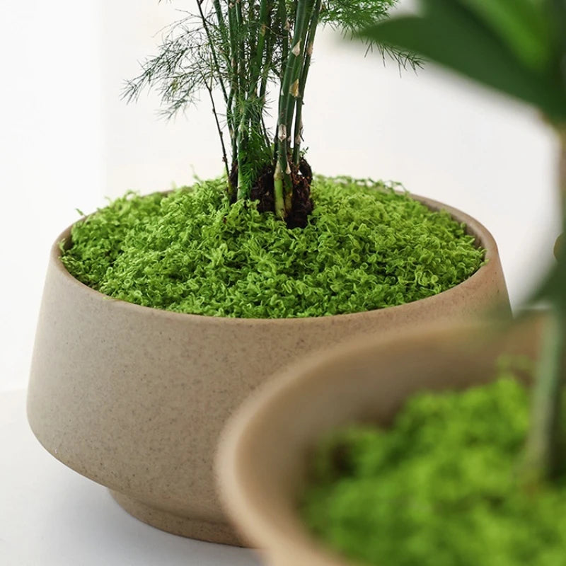 1Pc Fake Plants Home Decor Simulated Moss Turf Biomimetic Artificial Moss Micro Landscape Layout Ornaments Lawn Bonsai